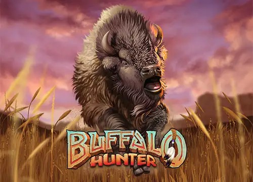 Buffalo Hunter 2